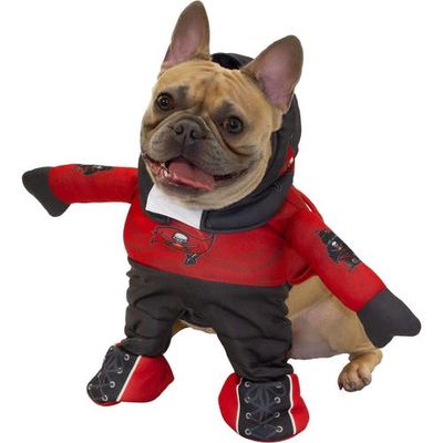 JERRY LEIGH Tampa Bay Buccaneers Running Dog Costume in Red