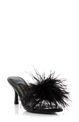 JESSICA RICH Malina Feather Pointed Toe Slide Sandal in Noir