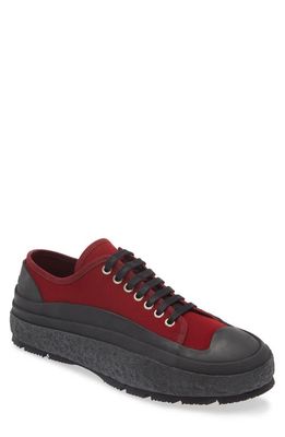 Jil Sander Low Top Sneaker in Dark Red