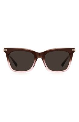 Jimmy Choo 52mm Cat Eye Sunglasses in Brown Nude /Brown