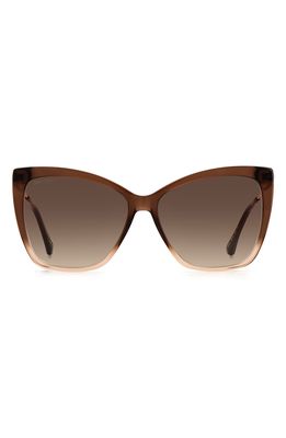 Jimmy Choo 58mm Seba Cat Eye Sunglasses in Brown Beige /Brown Gradient