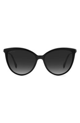 Jimmy Choo Belindas 56mm Gradient Cat Eye Sunglasses in Black/Grey Shaded