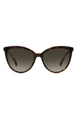 Jimmy Choo Belindas 56mm Gradient Cat Eye Sunglasses in Havana/Brown Gradient