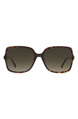 Jimmy Choo Eppie 57mm Gradient Square Sunglasses in Havana /Brown Gradient