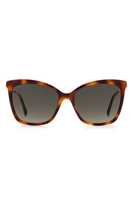 Jimmy Choo Macis 55mm Cat Eye Sunglasses in Cry Nude /Brown Gradient
