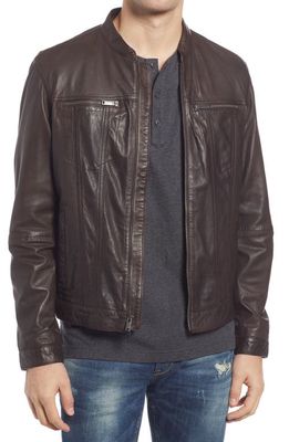 John Varvatos Star USA Band Collar Leather Jacket in Chocolate