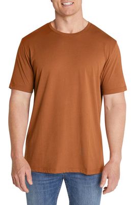 Johnny Bigg Essential Crewneck T-Shirt in Ginger