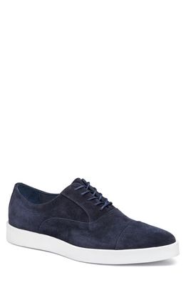 JOHNSTON & MURPHY COLLECTION Bolivar Cap Toe Water Resistant Sneaker in Navy Italian Suede 