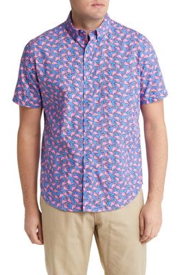 Johnston & Murphy Flamingo Print Short Sleeve Button-Down Shirt in Blue