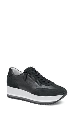 Johnston & Murphy Gracie Side Zip Sneaker in Black Calfskin/Suede