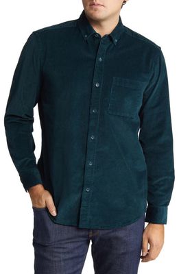 Johnston & Murphy Men's Corduroy Button-Down Shirt in Emerald