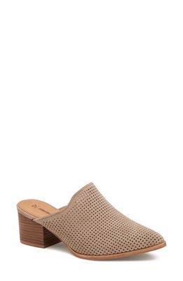 Johnston & Murphy Trista Perforated Mule in Taupe Suede