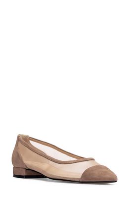 Jon Josef Ray Pointed Toe Flat in Haze Suede Combo 