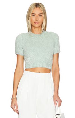 JoosTricot Solid Tinsel Crop Top in Mint