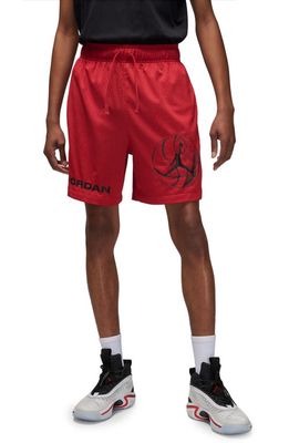 Jordan Dri-FIT Mesh Basketball Shorts in Gym Red/Black