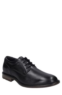 Josef Seibel Earl Plain Toe Derby in Black Arezzo 