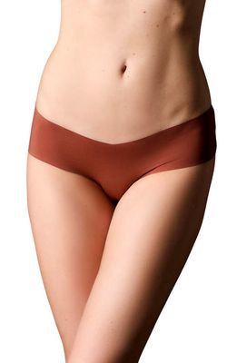 JOURNELLE Estelle Lace Hipster Briefs in Cannelle