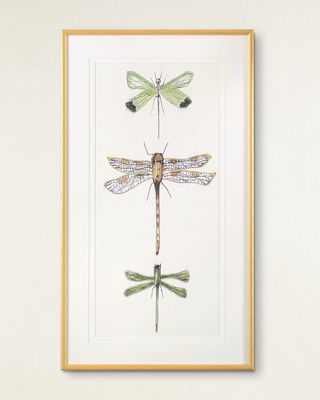 "Joyful Dragonflies I" Giclee Wall Art by Joy Colangelo