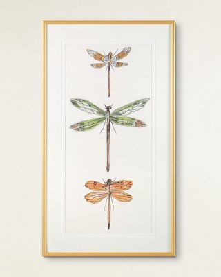 "Joyful Dragonflies II" Giclee Wall Art by Joy Colangelo