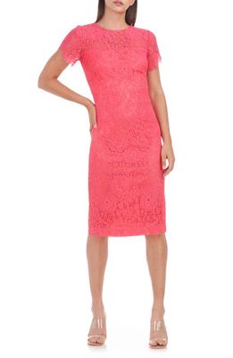 JS Collections Suzy Lace Scalloped Cocktail Dress in Camellia