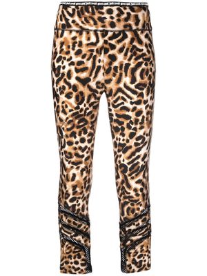 Just Cavalli leopard print leggings - Brown
