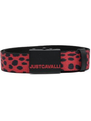 Just Cavalli leopard-print logo-buckle belt - Red
