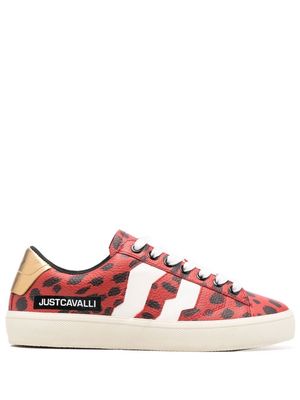 Just Cavalli leopard-print low-top sneakers - Red