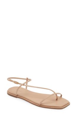 Kaanas Alayta Ankle Strap Sandal in Blush 