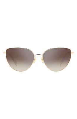 kate spade new york 55mm hailey/g/s cat eye sunglasses in Gold/Brown Sh Silver Mr