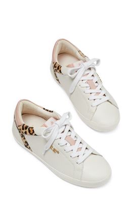 kate spade new york ace leopard sneaker in Lovely Leopard