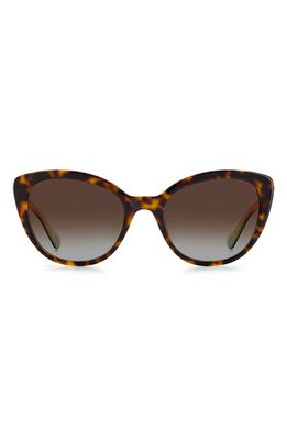 kate spade new york amberlees 55mm gradient eat eye sunglasses in Havana /Brown Grad