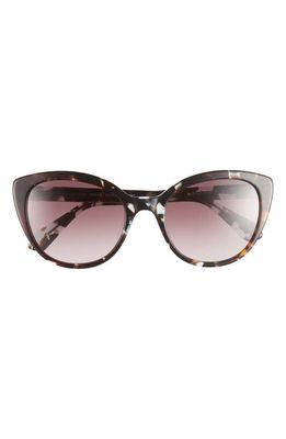 kate spade new york amberlees 55mm gradient eat eye sunglasses in Havana Multi/Brown Gradient