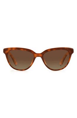 kate spade new york cayennes 54mm cat eye sunglasses in Havana /Brown