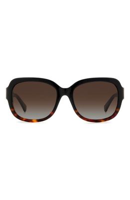 kate spade new york laynes 55mm gradient sunglasses in Black Havana/Brown Polar