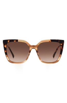 kate spade new york marlowe 55mm gradient square sunglasses in Horn Beige/Brown Gradient