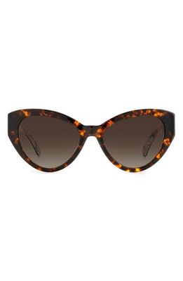 kate spade new york paisleigh 55mm gradient cat eye sunglasses in Havana/Brown