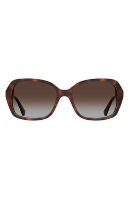 kate spade new york yvette 54mm gradient polarized square sunglasses in Havana /Brown Grad
