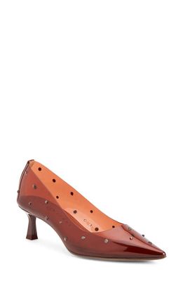 Katy Perry The Golden Studded Pointed Toe Pump in Sepia
