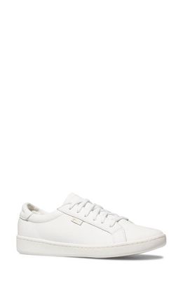 Keds Ace Sneaker in White