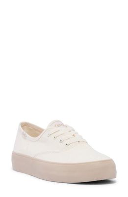 Keds® Champion Sneaker in Natural Canvas 