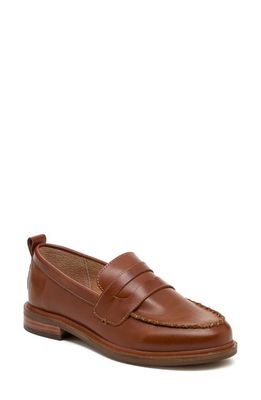 Kelsi Dagger Brooklyn Lens Penny Loafer in Caramel 