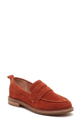 Kelsi Dagger Brooklyn Lens Penny Loafer in Spice