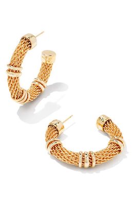 Kendra Scott Maya Hoop Earrings in Gold
