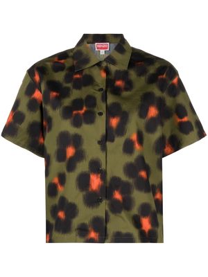 Kenzo leopard-print short-sleeve shirt - Green