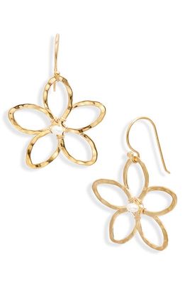 ki-ele Melia Freshwater Pearl Flower Drop Earrings in Gold