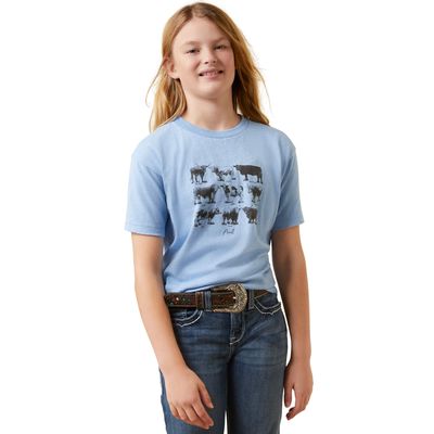 Kid's Cow Chart T-Shirt in Light Blue Heather, Size: XS by Ariat