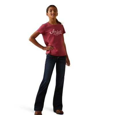 Kid's Durable Goods T-Shirt in Earth Red, Size: XS by Ariat