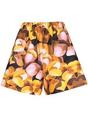 Kika Vargas Elisa floral-print shorts - Multicolour