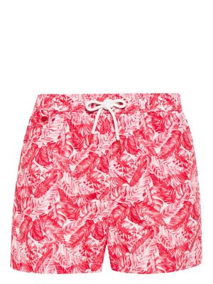 Kiton leaf-print swim shorts - Pink