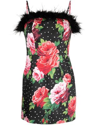 Kitri Nola rose-print feather-trim minidress - Black